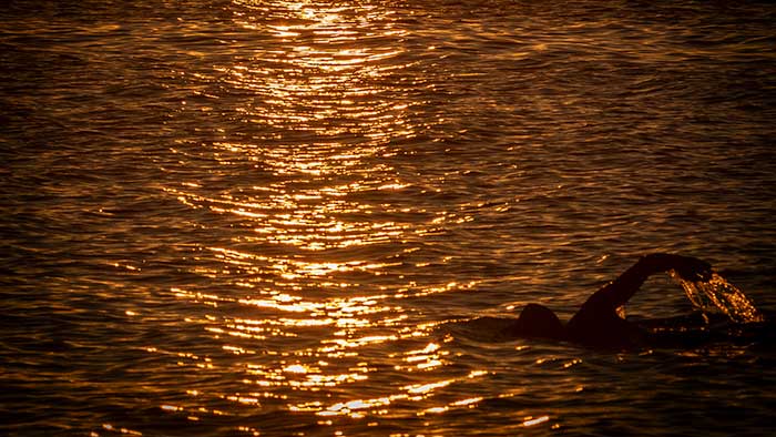 Swimming at Sunset