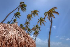 20230503Aruba079