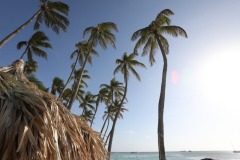 20230503Aruba148
