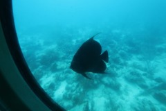 20230504Aruba236