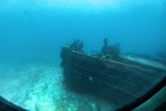 20230504Aruba310