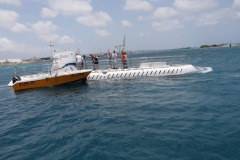 20230504Aruba431