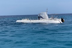 20230504Aruba785