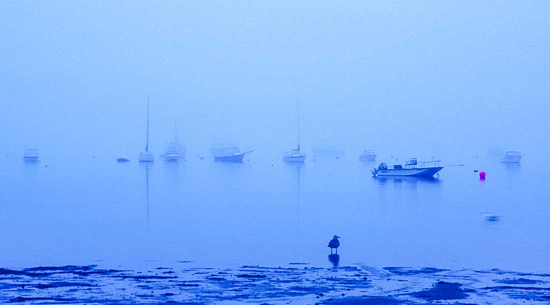 Heavy fog in the Cape Cod Bay.