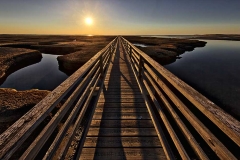 Sunset over the wooden walkway by Grays Beach in Yarmouth, Cape Cod, Massachusetts.