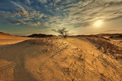 Sunset by Herring Cover Beach, Provincetown, Cape Cod.