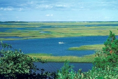 Two men in a boat along the coast of Cape Cod.