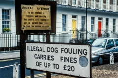 Cleanup sign for Dog Owners.
