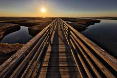 Sunset over the wooden walkway by Grays Beach in Yarmouth, Cape Cod, Massachusetts.