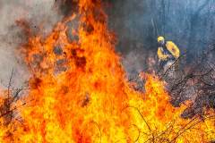 20120318Fire127WEB