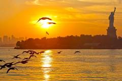 Sunrise and the Statue of Liberty and a flock of birds flying and New York City.