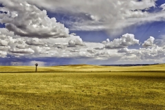 20060822OutWest0793A_HDR_edit-1