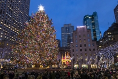 The Christmas Tree at Rockefeller Center surrounded by the angels, visitors and buildings.