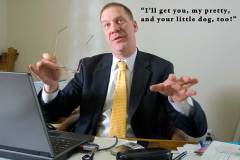 Business Man Works in His Office