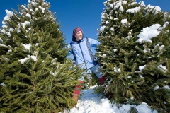 Young woman poses by a Christmas Tree.