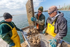 Fishermen clean their shellfish.