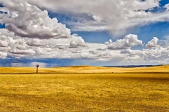 Windmill in an open field in Utah.