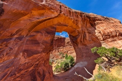 The Pine Tree Arch in Arches National Park in Utah.